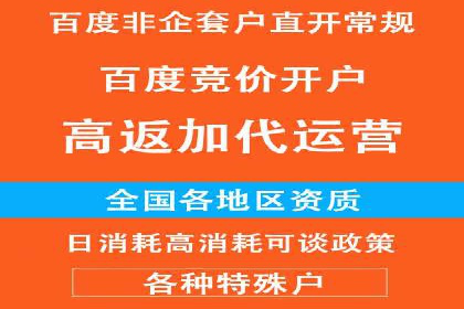信息流代运营助力企业拓展海外市场